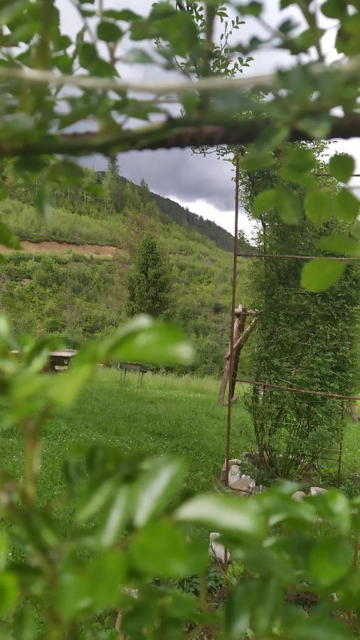 Родинна Оселя Slavske Eksteriør billede