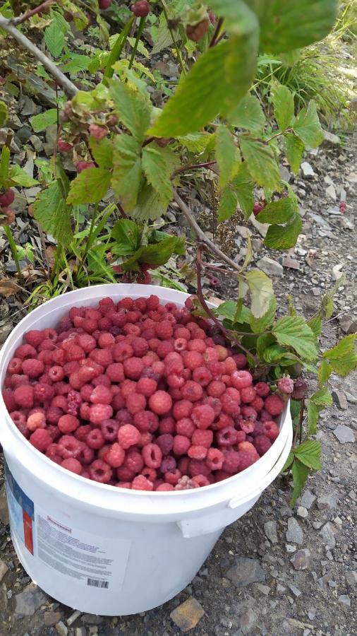 Родинна Оселя Slavske Eksteriør billede